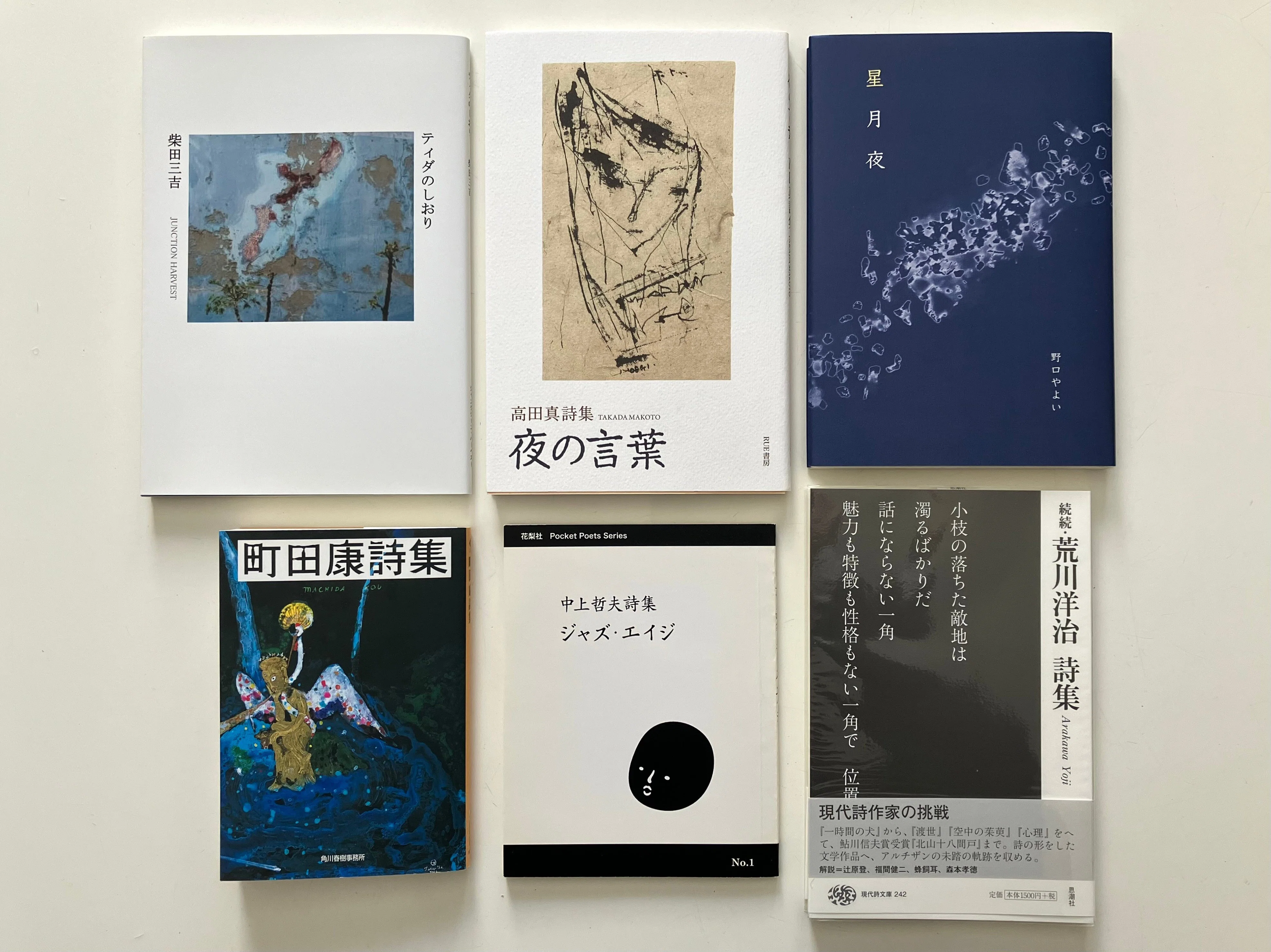 詩集 表紙 現代詩手帖 2025年5月号 発売日2025年04月