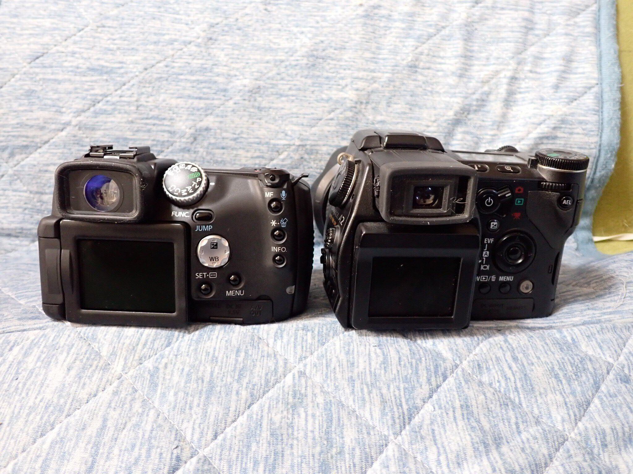 Canon Powershot Pro1|セるしうす Canon Powershot Pro1|セるしうす