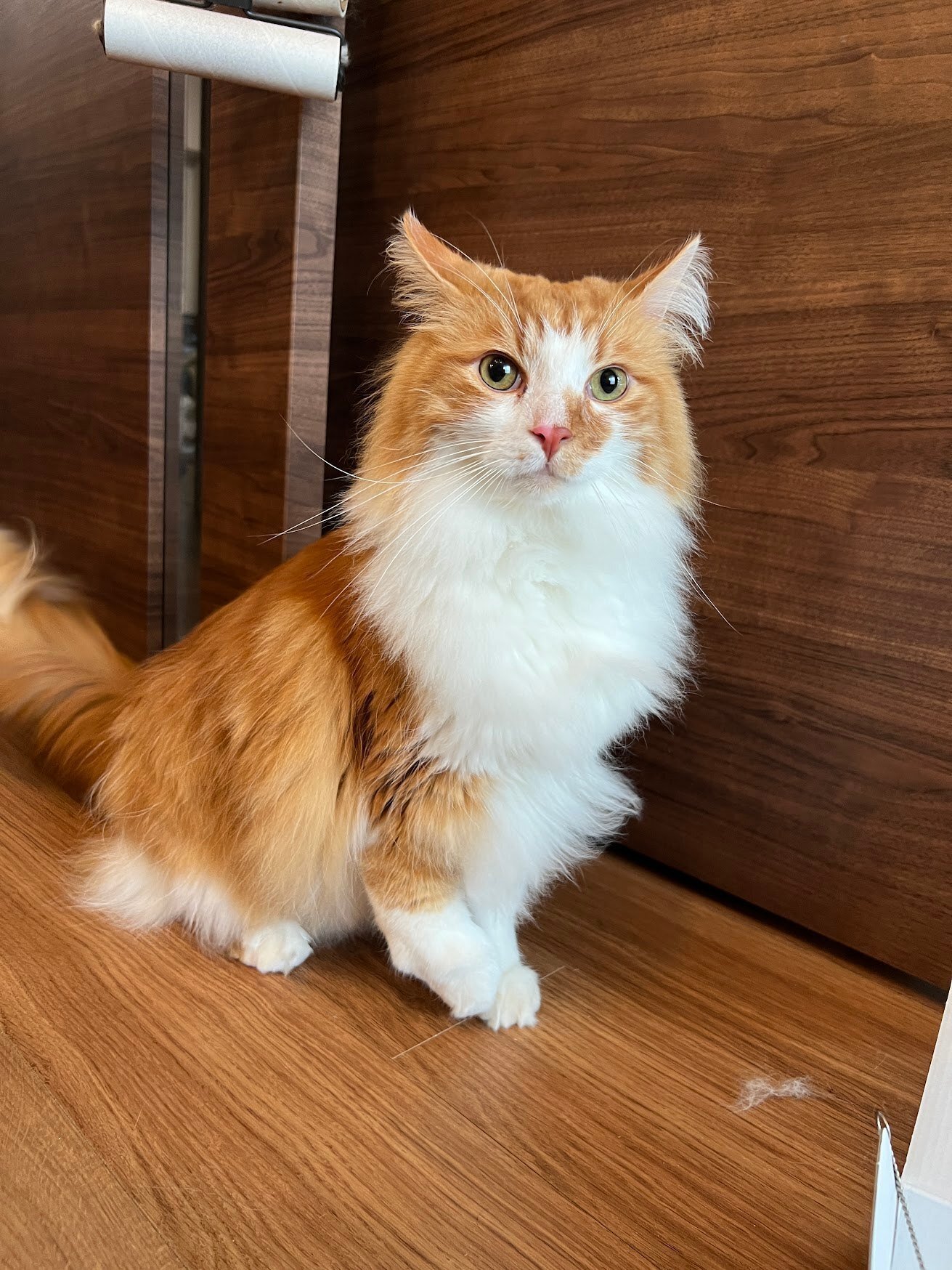 ちび太またね｜naka4ma3