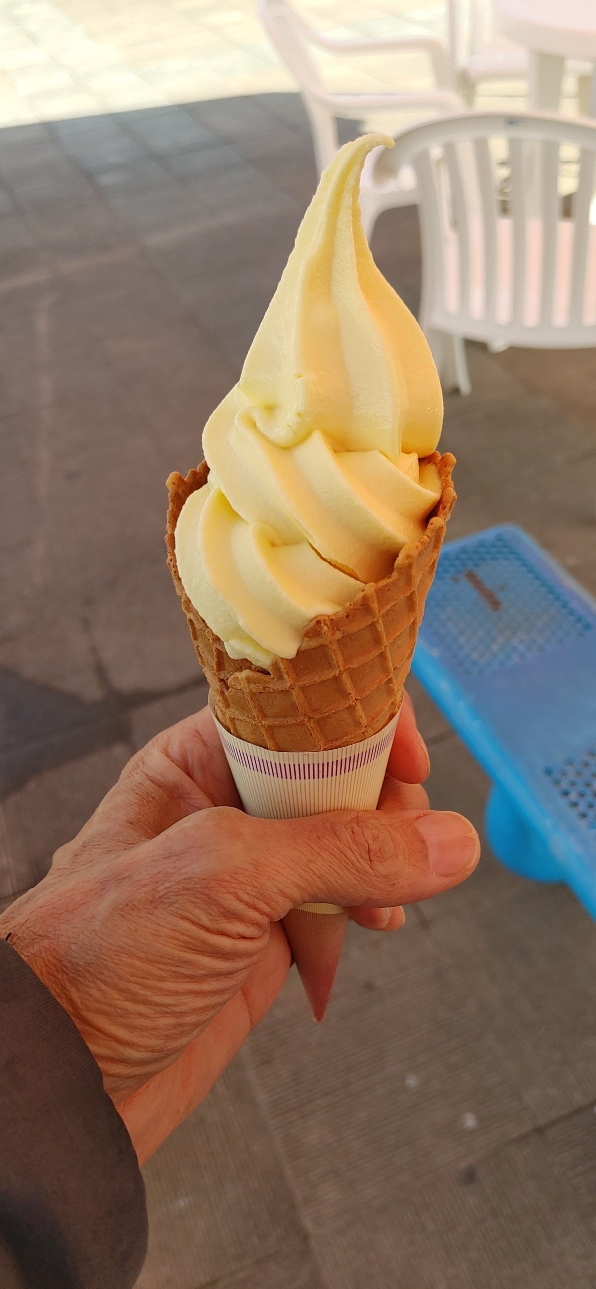 鹿島みかんソフトクリーム｜koujieee