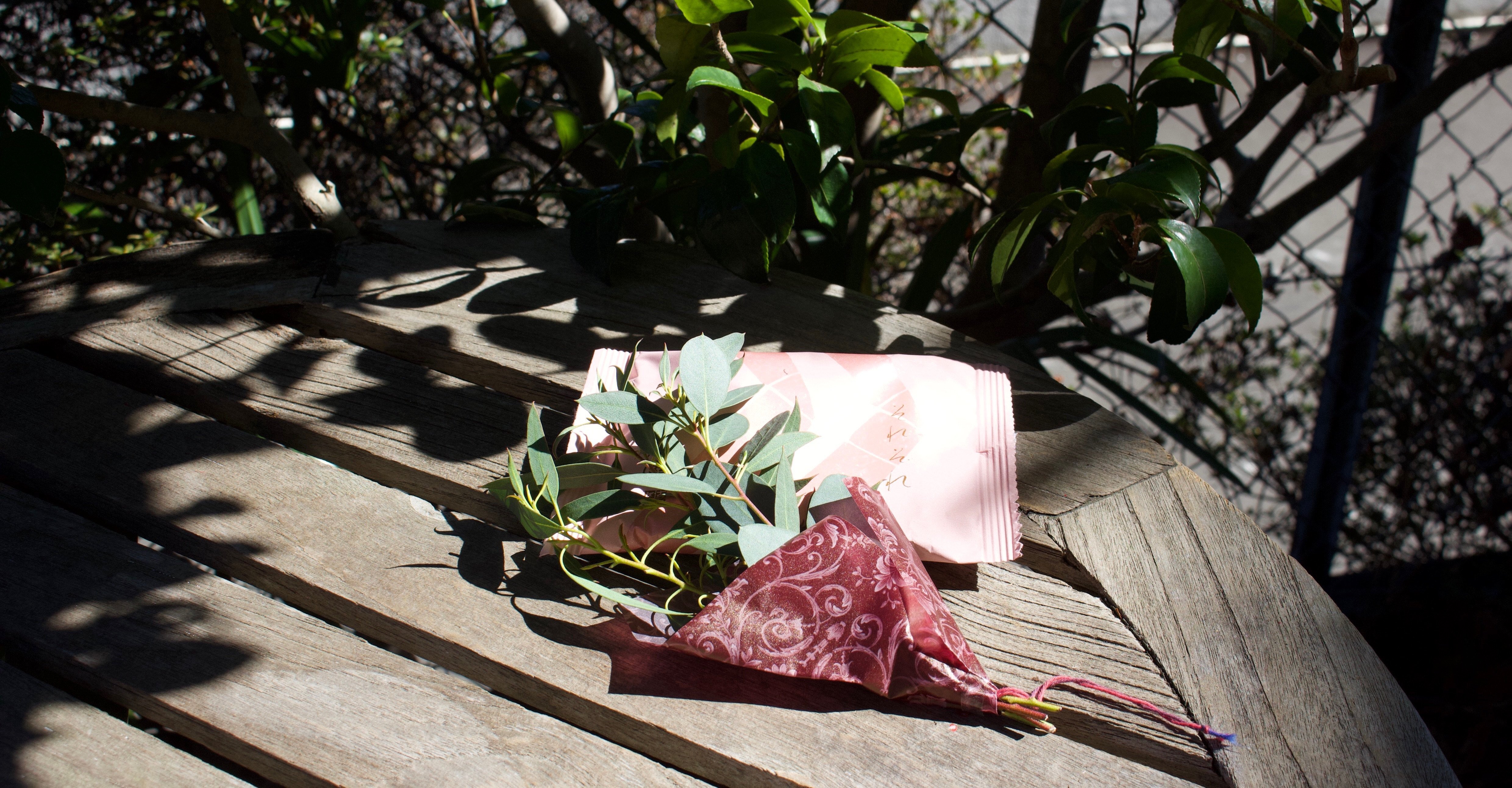 職場へ最後の贈り物🌿山の檜と胡桃で作った樹皮のかご🧺｜山の小リス