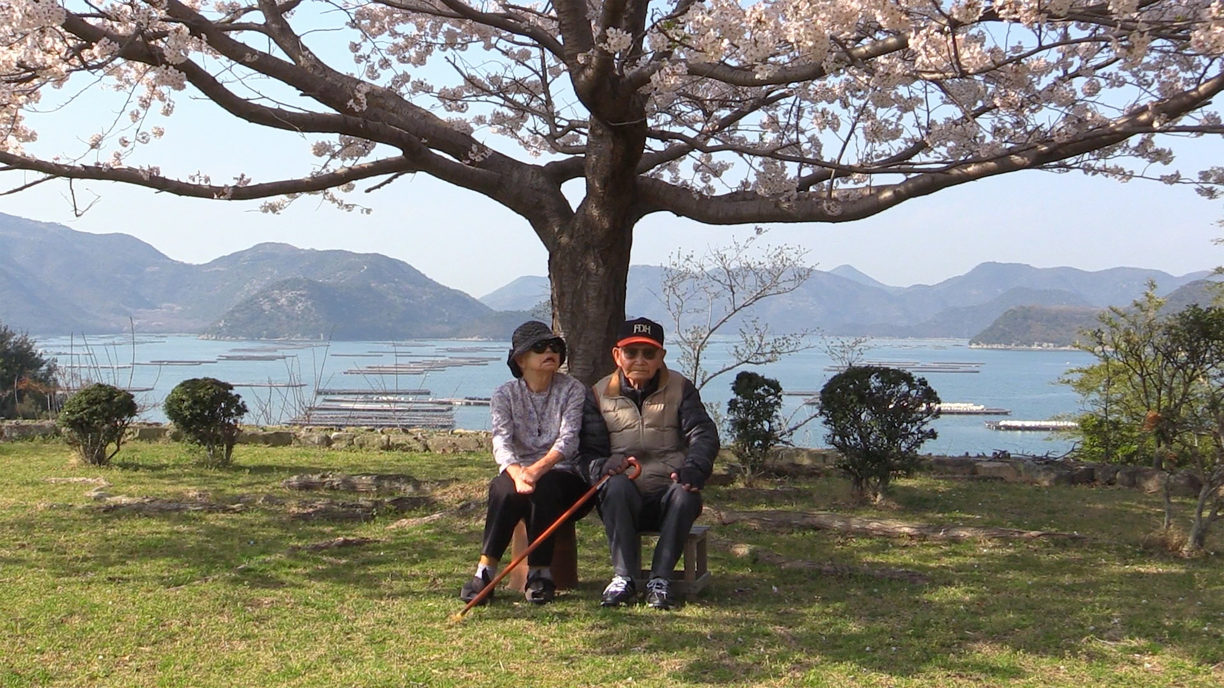もう一つのハンセン病史 : 山の中の小さな園にて : 元身延深敬園長綱脇美智さ… もう一つのハンセン病史 : 山の中の小さな園にて : 元身延深敬