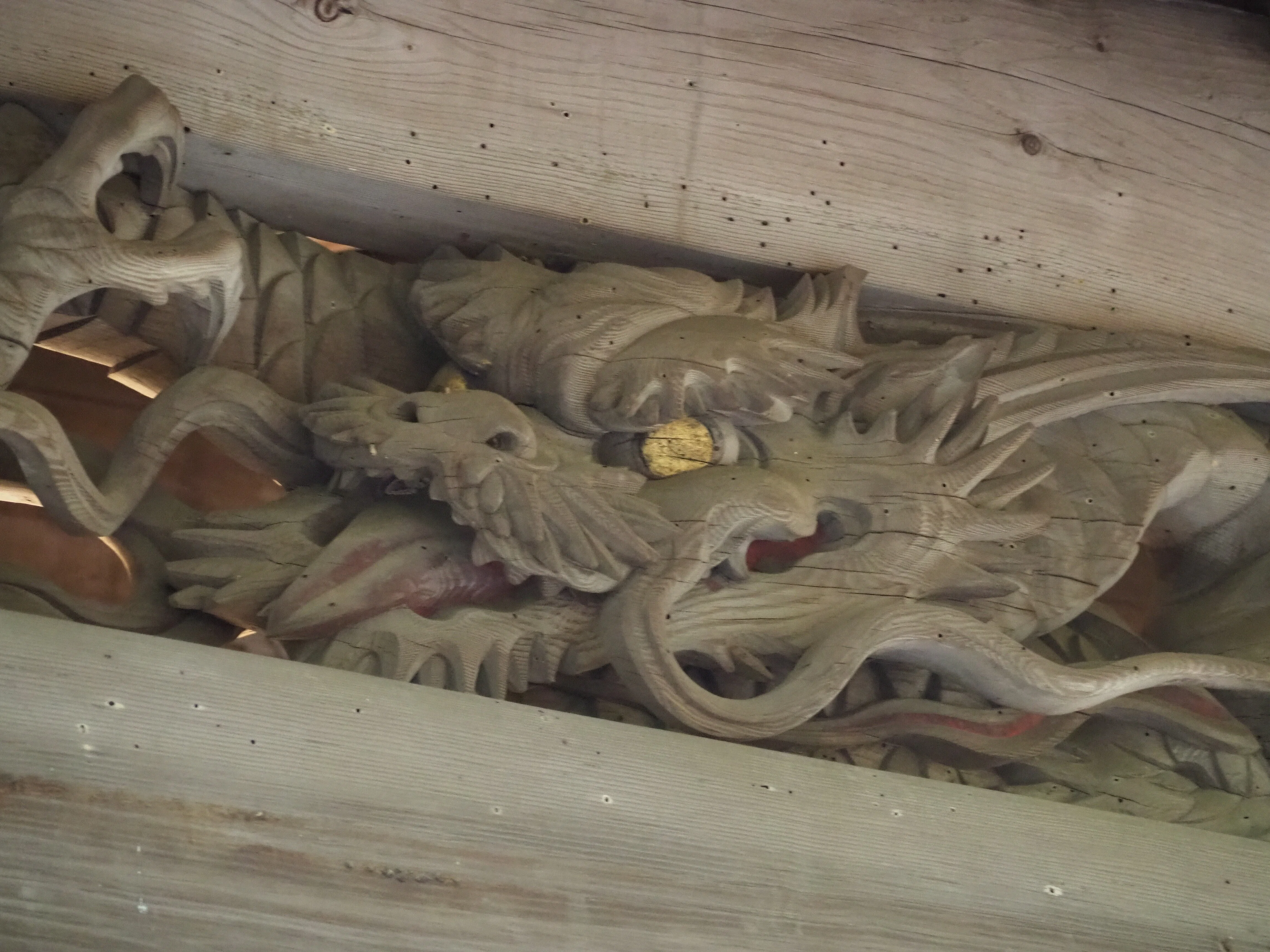 龍の遺産』 No．1 ｜神奈川探龍倶楽部