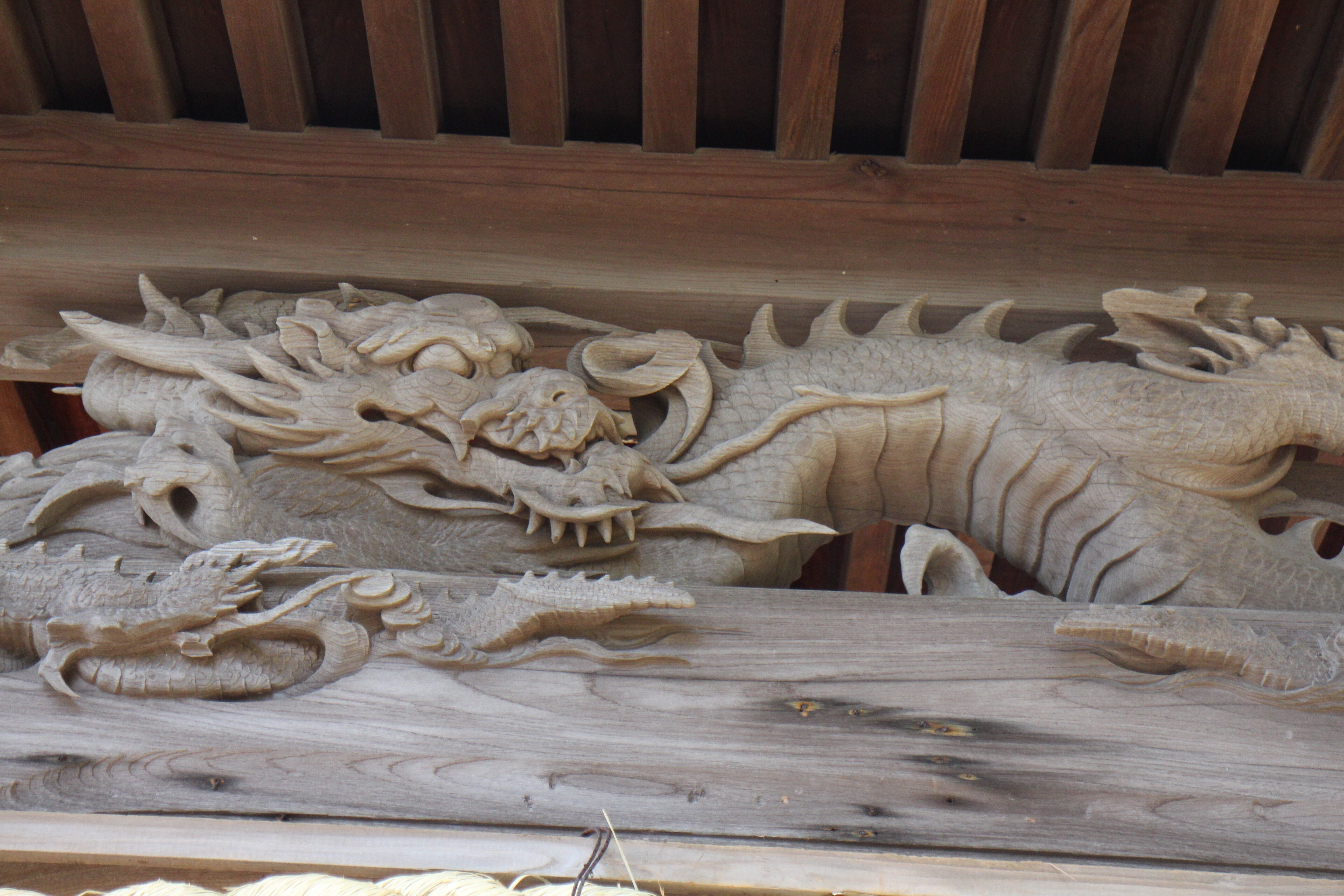 龍の遺産』 No．1 ｜神奈川探龍倶楽部