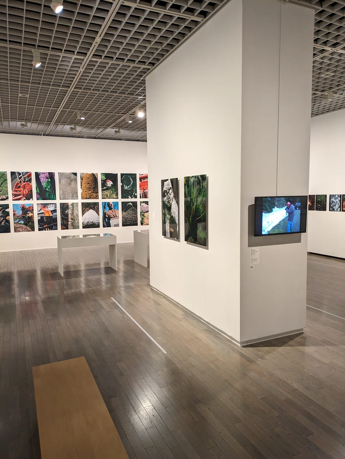 240303 Takuma Nakahira: Circulation - Date, Nature, and Image @ The ...
