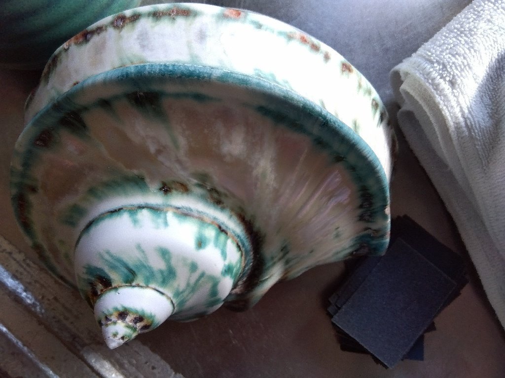 La nacre ヤコウガイとタカセガイの貝殻｜SAITOSHIN1