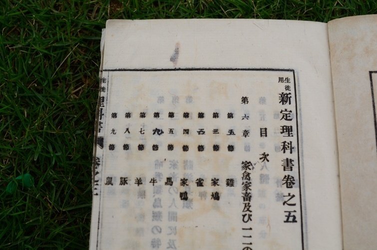 30年以上前の落書き(国語の教科書1点)