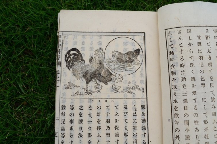 明治時代の理科の教科書がやたらと道徳的だった話｜たかはし＠富山