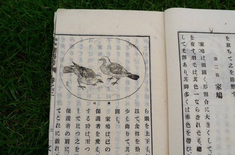 明治時代の理科の教科書がやたらと道徳的だった話｜たかはし＠富山