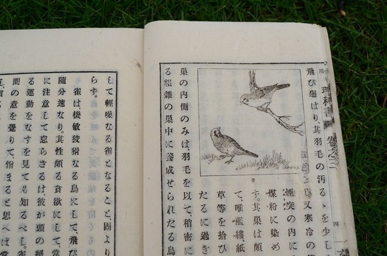 30年以上前の落書き(国語の教科書1点)