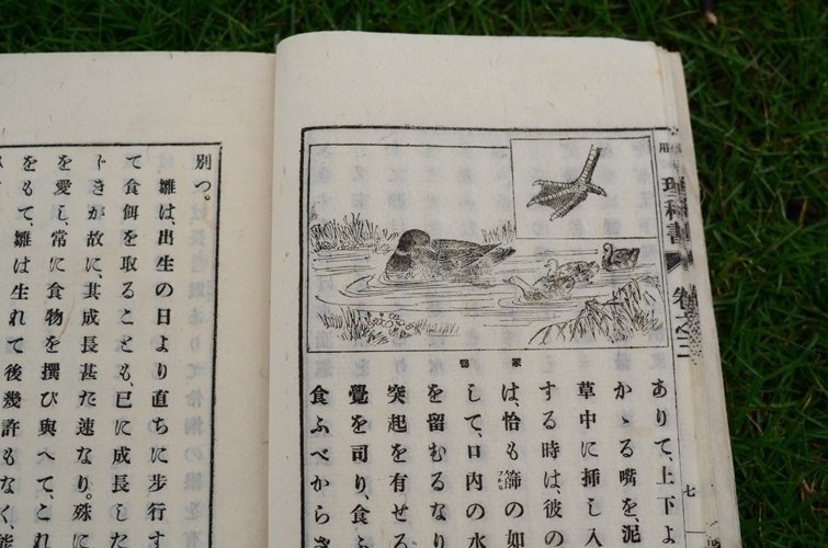 明治時代の理科の教科書がやたらと道徳的だった話｜たかはし＠富山