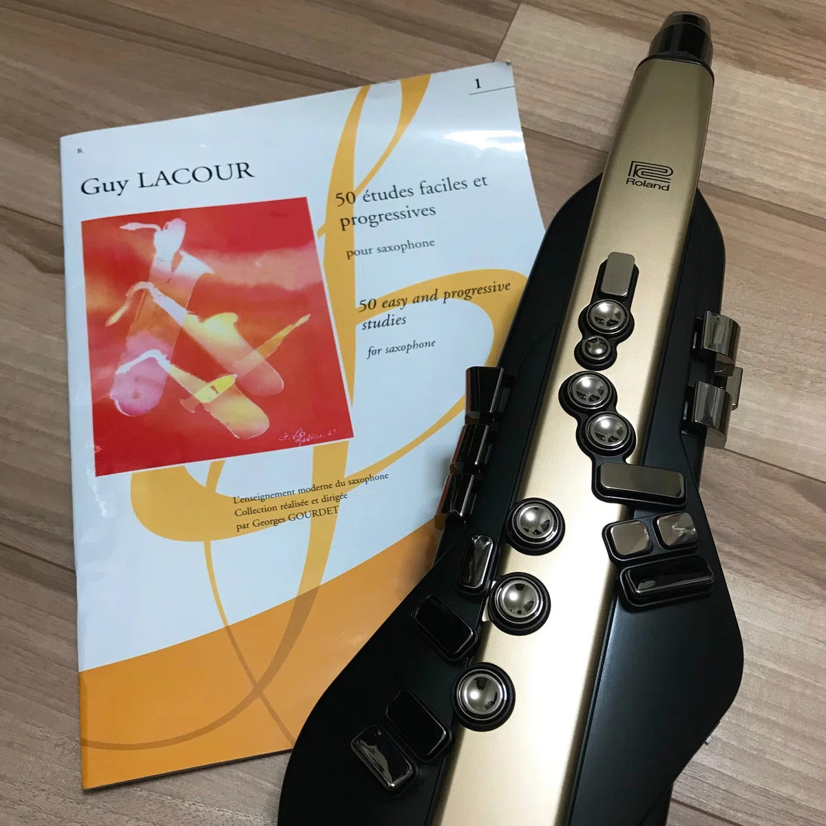 ?はじめてのエアロフォン(Aerophone) ／経験値ゼロから6か月の軌跡 