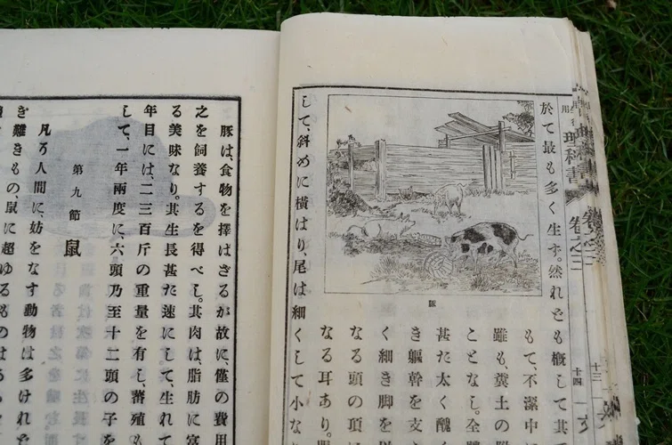 明治時代の理科の教科書がやたらと道徳的だった話｜かるがも