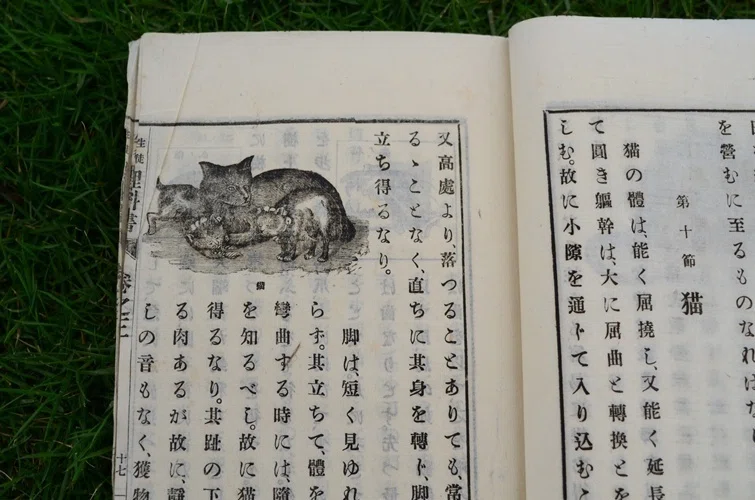 明治時代の理科の教科書がやたらと道徳的だった話｜かるがも