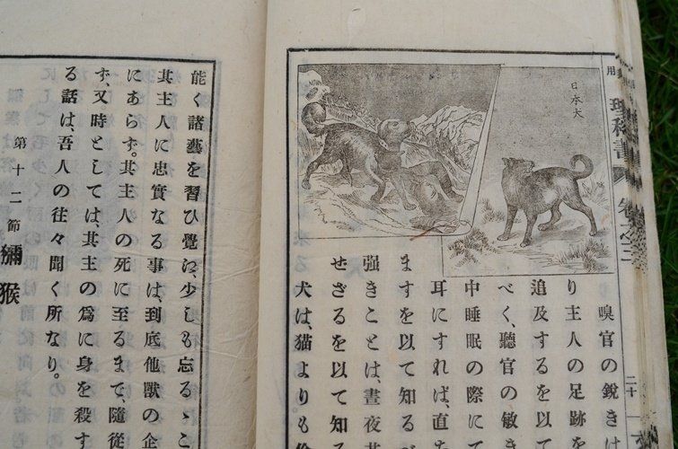 明治時代の理科の教科書がやたらと道徳的だった話｜たかはし＠富山