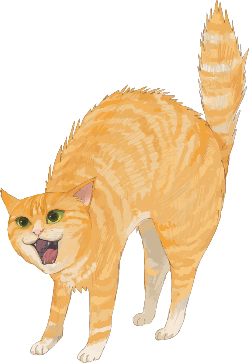 Amazon.co.jp: 猫の行動学: 行動特性と問題行動 : ボニ- V.ビ-バ