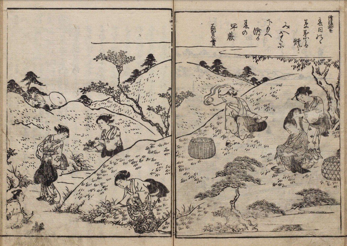 大和名所図会 巻二|mominaina 大和名所図会 巻二|mominaina