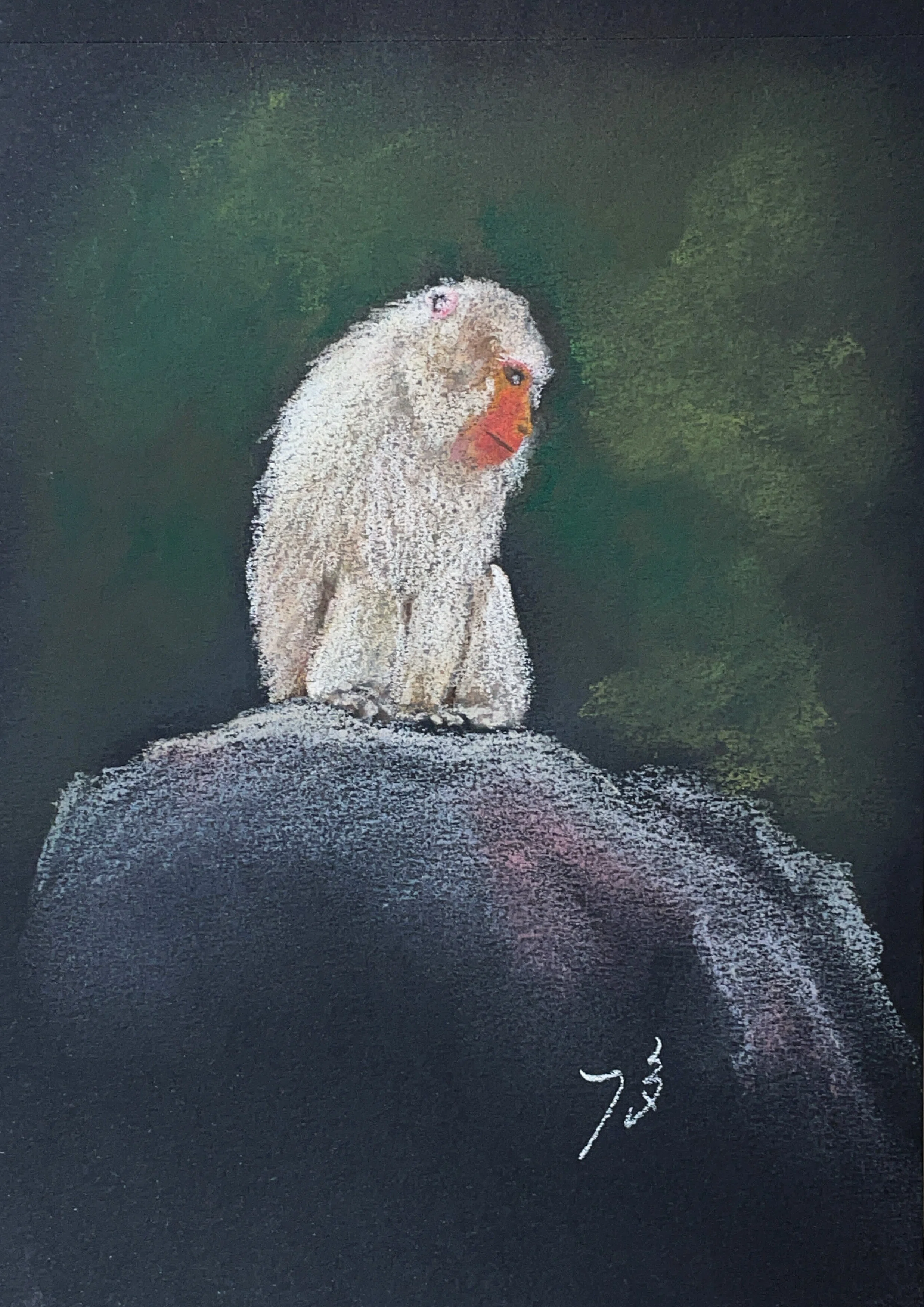 パステル画作品集]おサルさん達｜てぃーが Pastel Artist