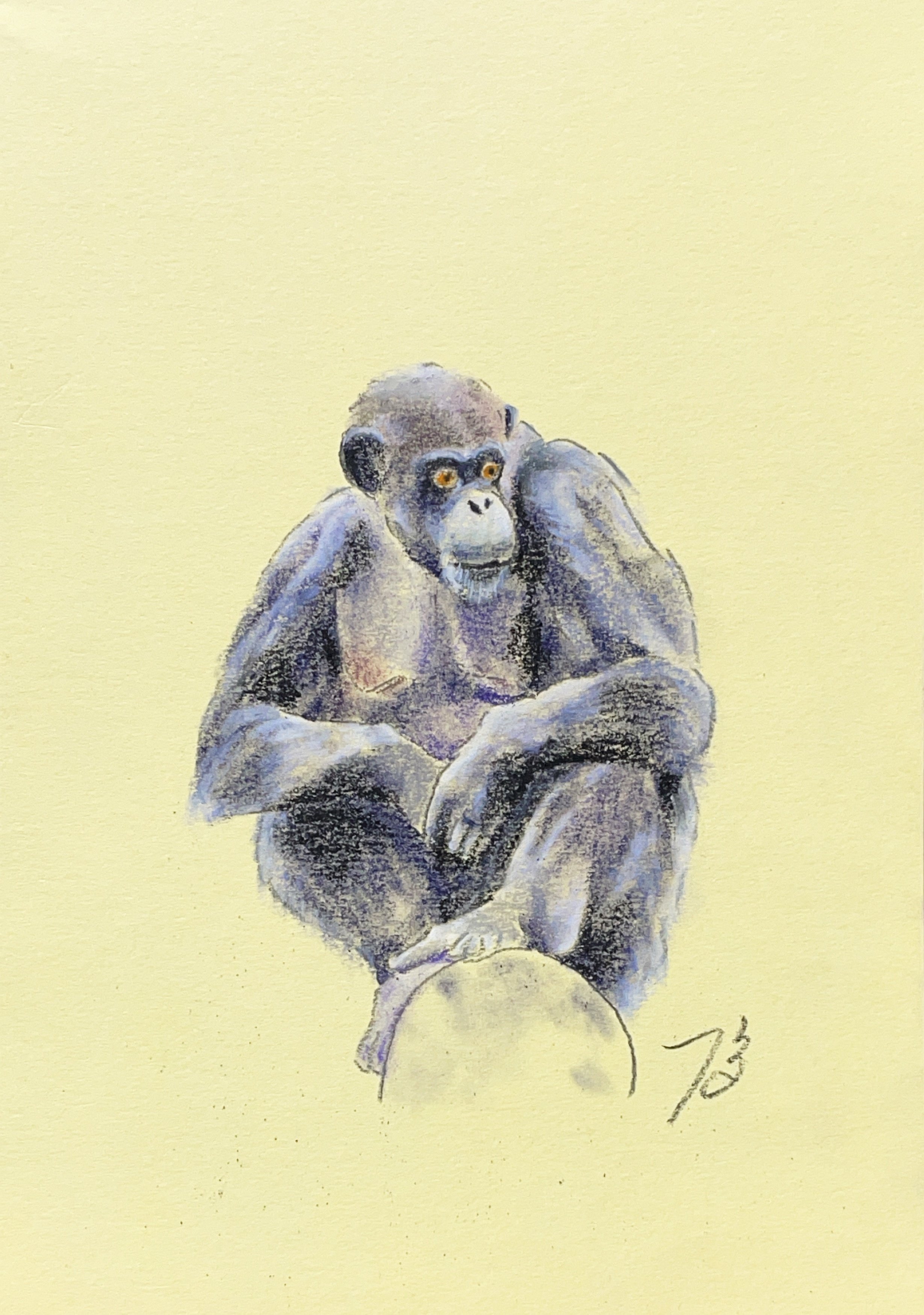 ☆チンパンジー☆デッサン☆ チンパンジー | 絵描きびと acopachan（あこぱちゃん）のブログ