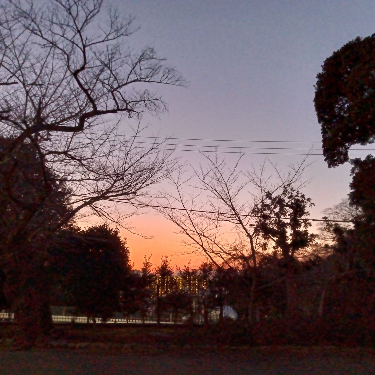 東京 大田区 大森 池上町