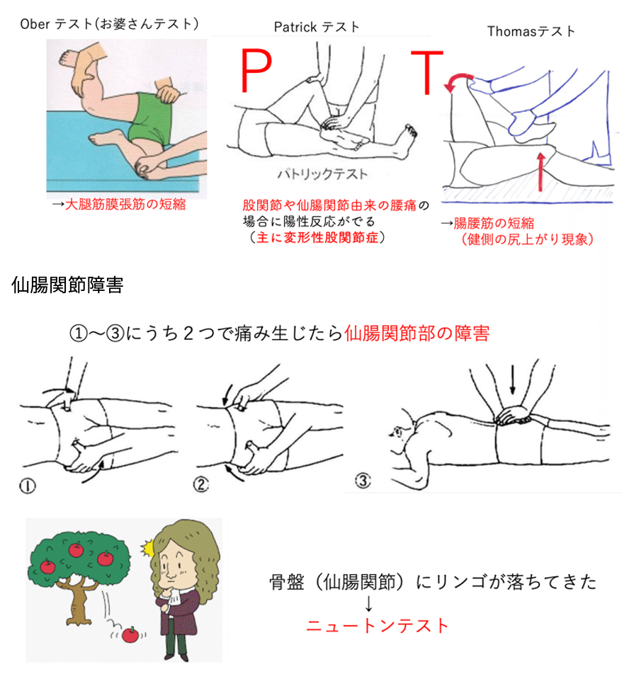 第59回理学療法士国家試験 午前31-35の解説｜Sixty_valleyのページ