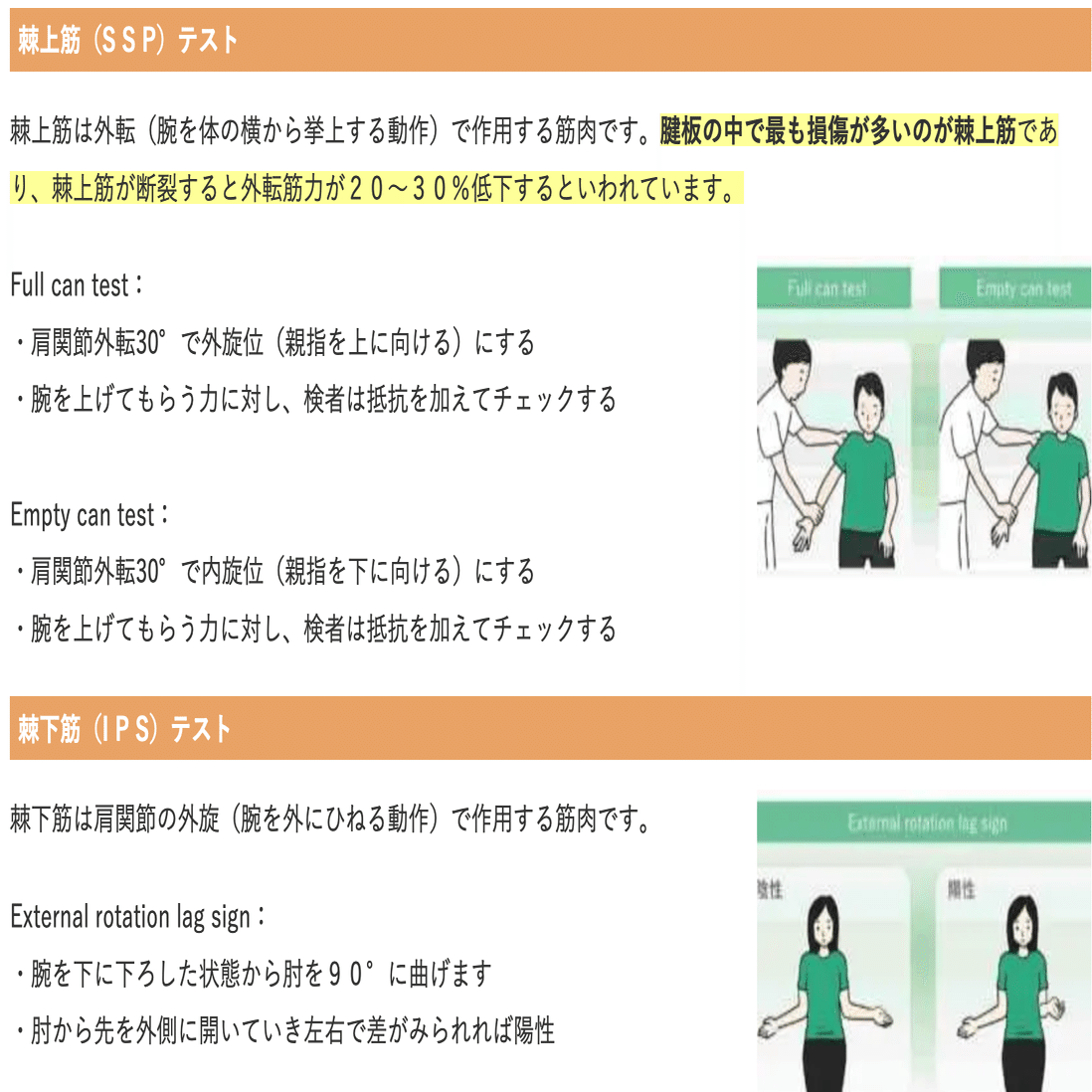理学療法 高齢者理学療法学 (Crosslink 理学療法学テキスト) | 池添 冬芽 |本