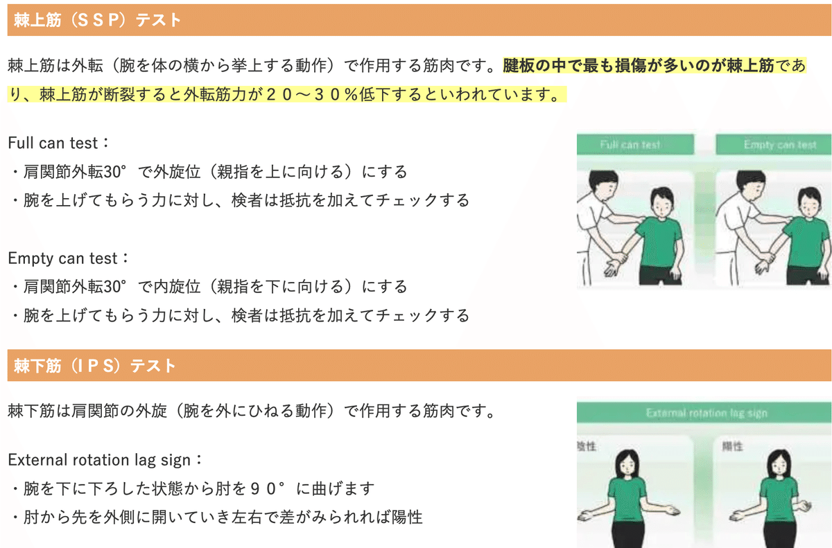 第59回理学療法士国家試験 午前31-35の解説｜Sixty_valleyのページ