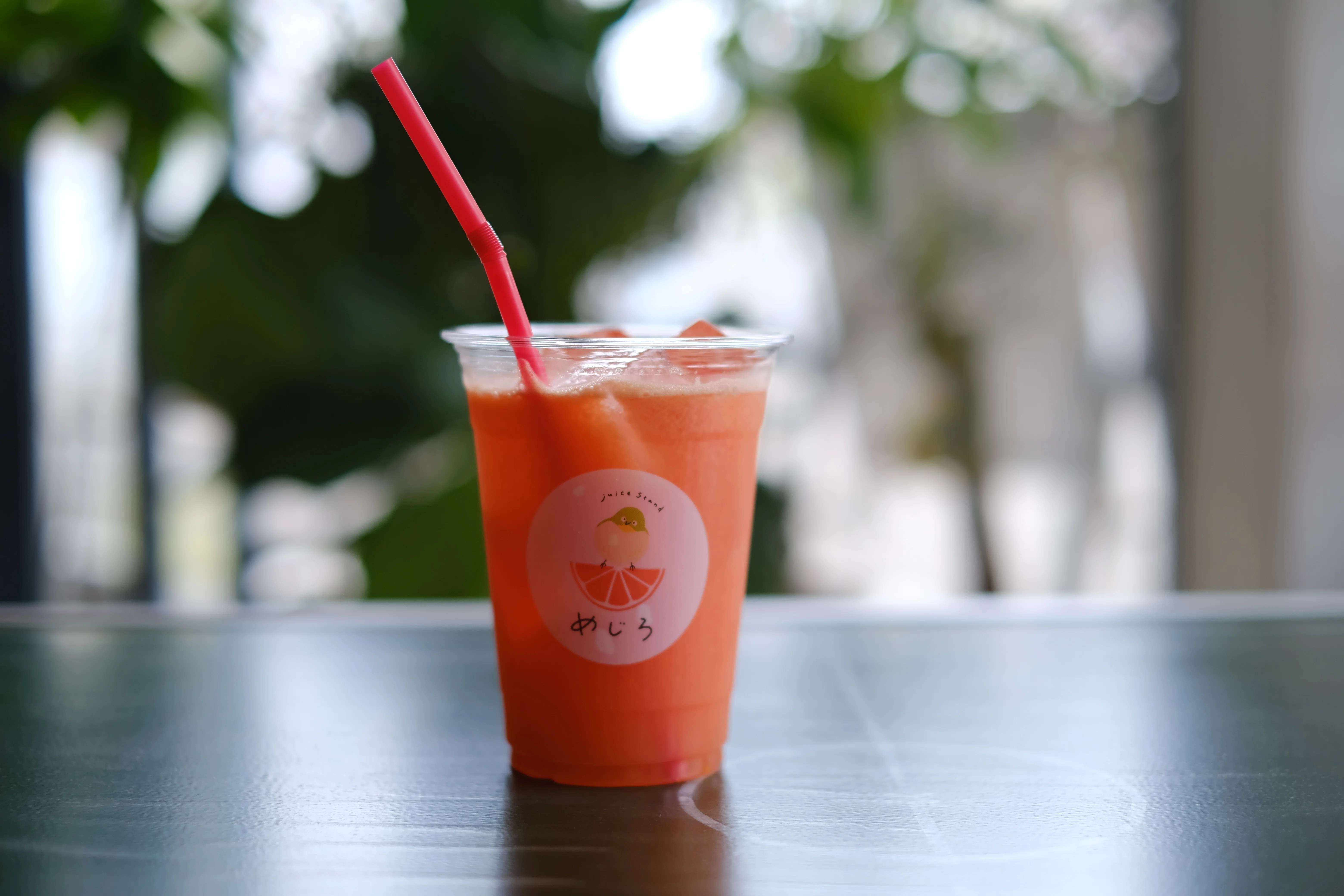 島根鳥取縦断旅 「喫茶ベニ屋」と「JUICE STAND めじろ」｜内藤可奈子