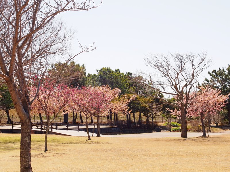 吉田公園