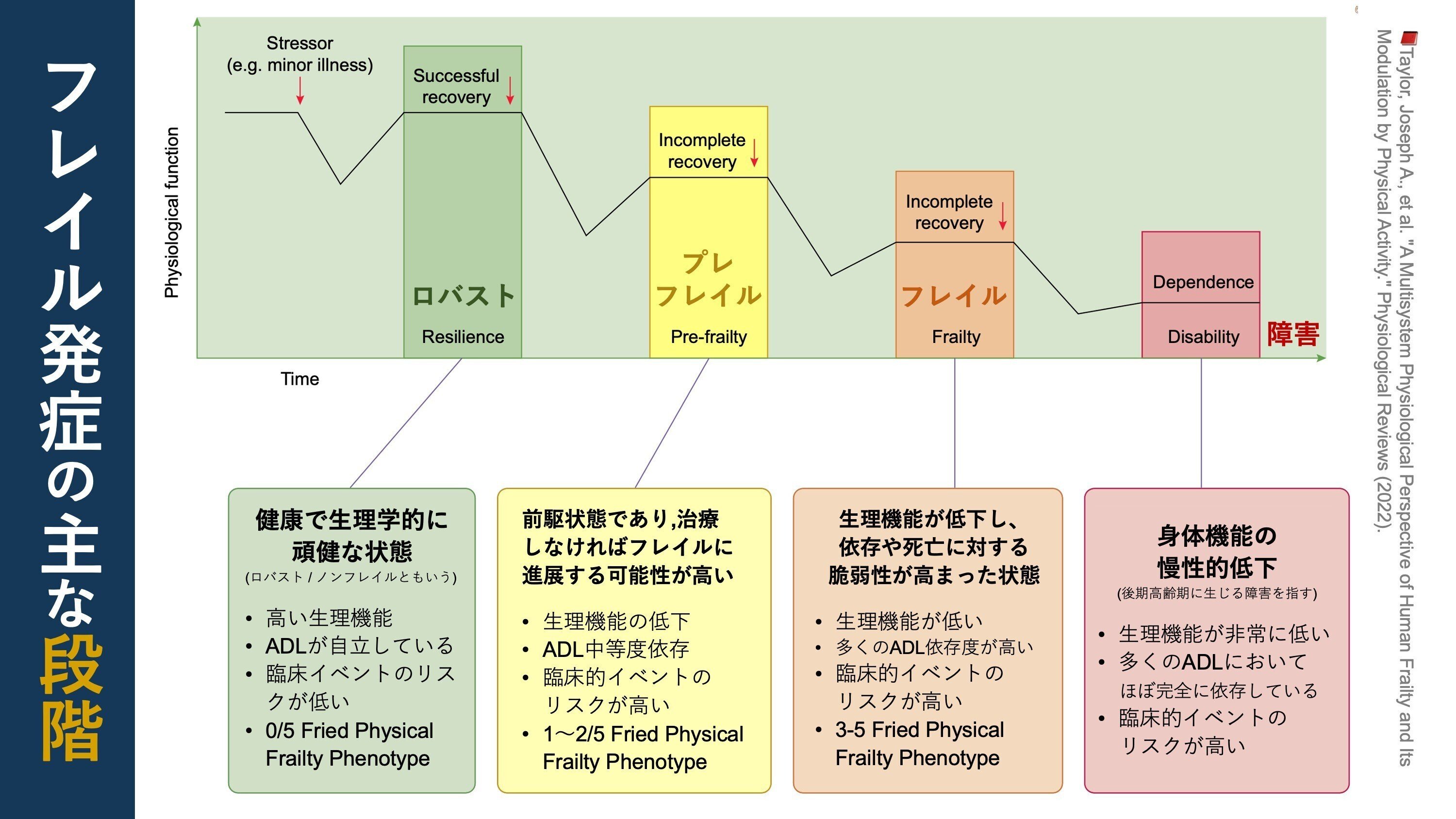 フレイル大全。423の参考文献と美しい図｜Super Human | 理学