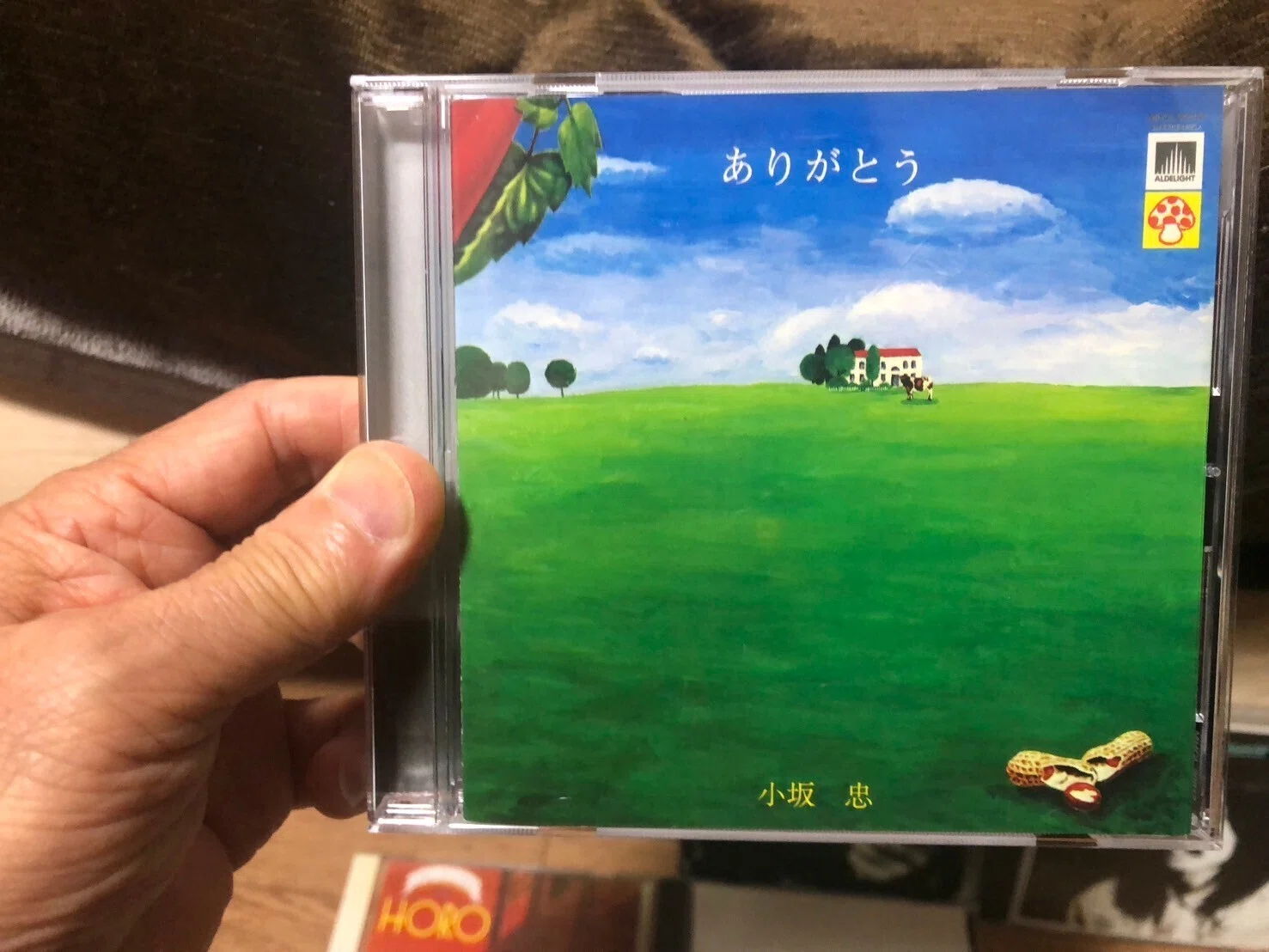 アメリカ村のキャメル・ママ 細野晴臣 小坂忠｜（花鳥風月）ikesan