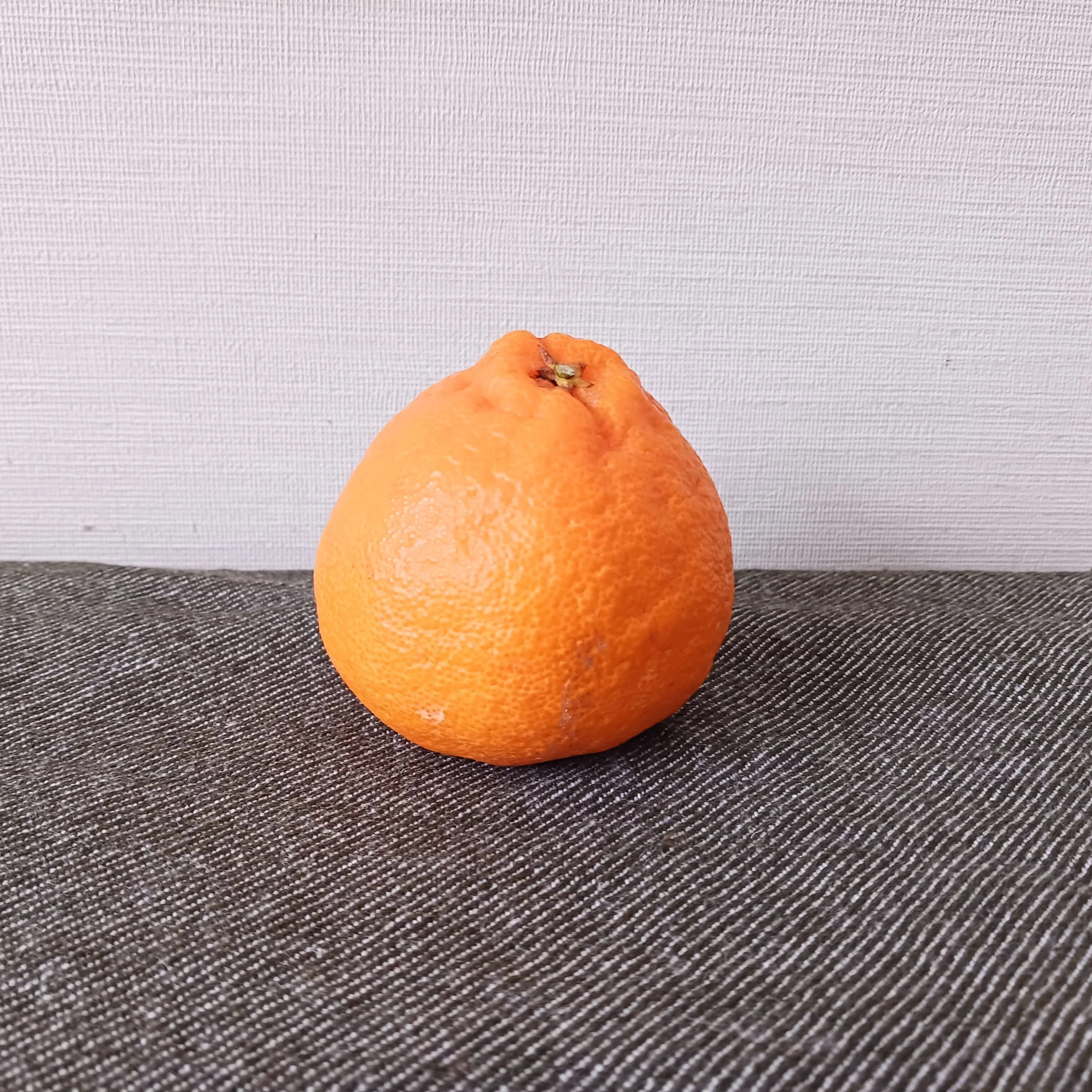 デコポン｜ミカミアカネ