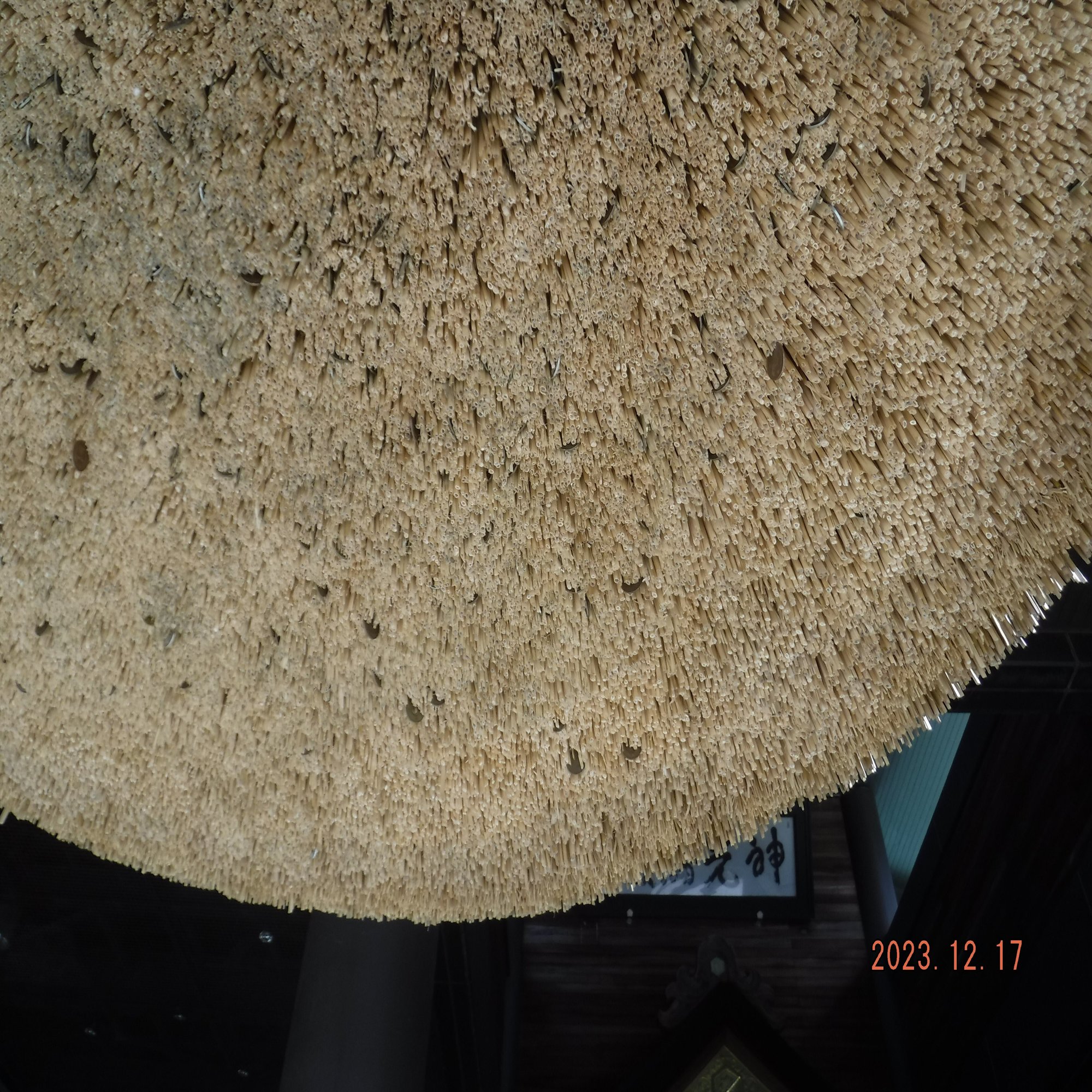 常陸国出雲大社｜toyotaboxy