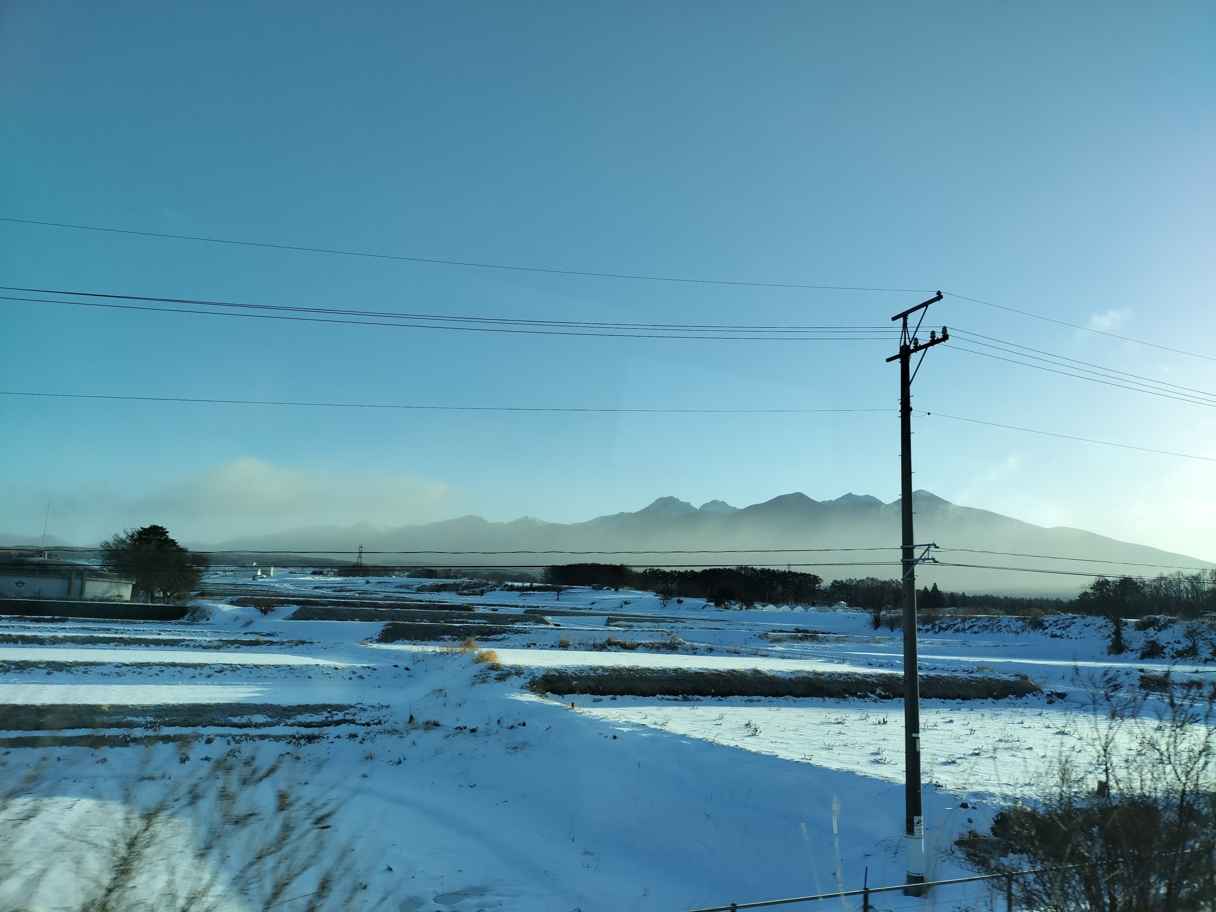 山種美術館を訪ねて vol.6 若手作家の瑞々しい日本画｜つきふね