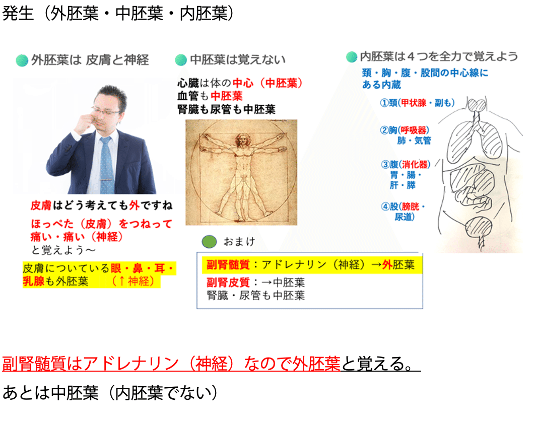 理学療法士 健康科学部 理学療法学科｜SBC東京医療大学 | 学校法人 SBC東京