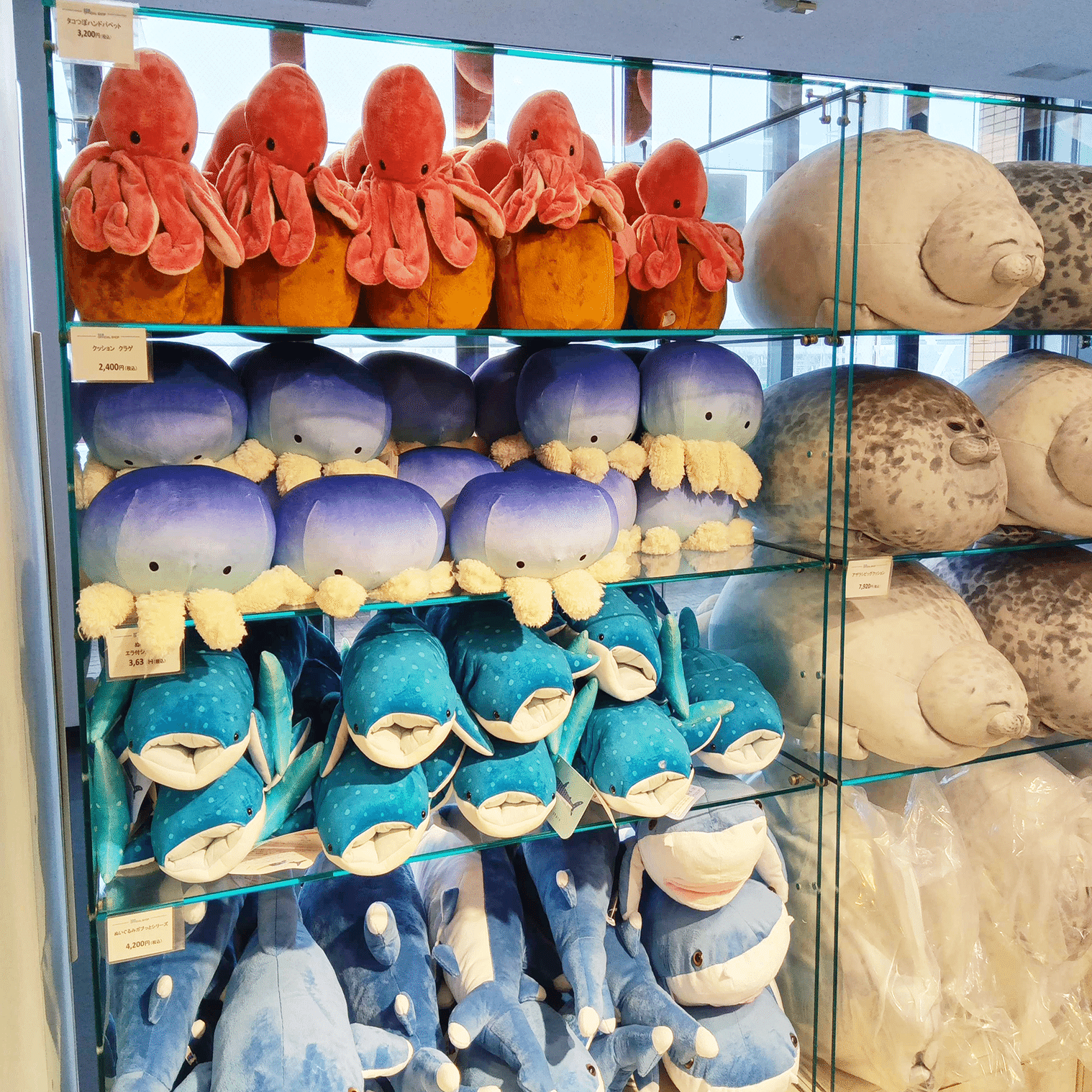 買い物代行 タコ壺ハンドパペット＠海遊館｜暮らしサポート／ベアーズ