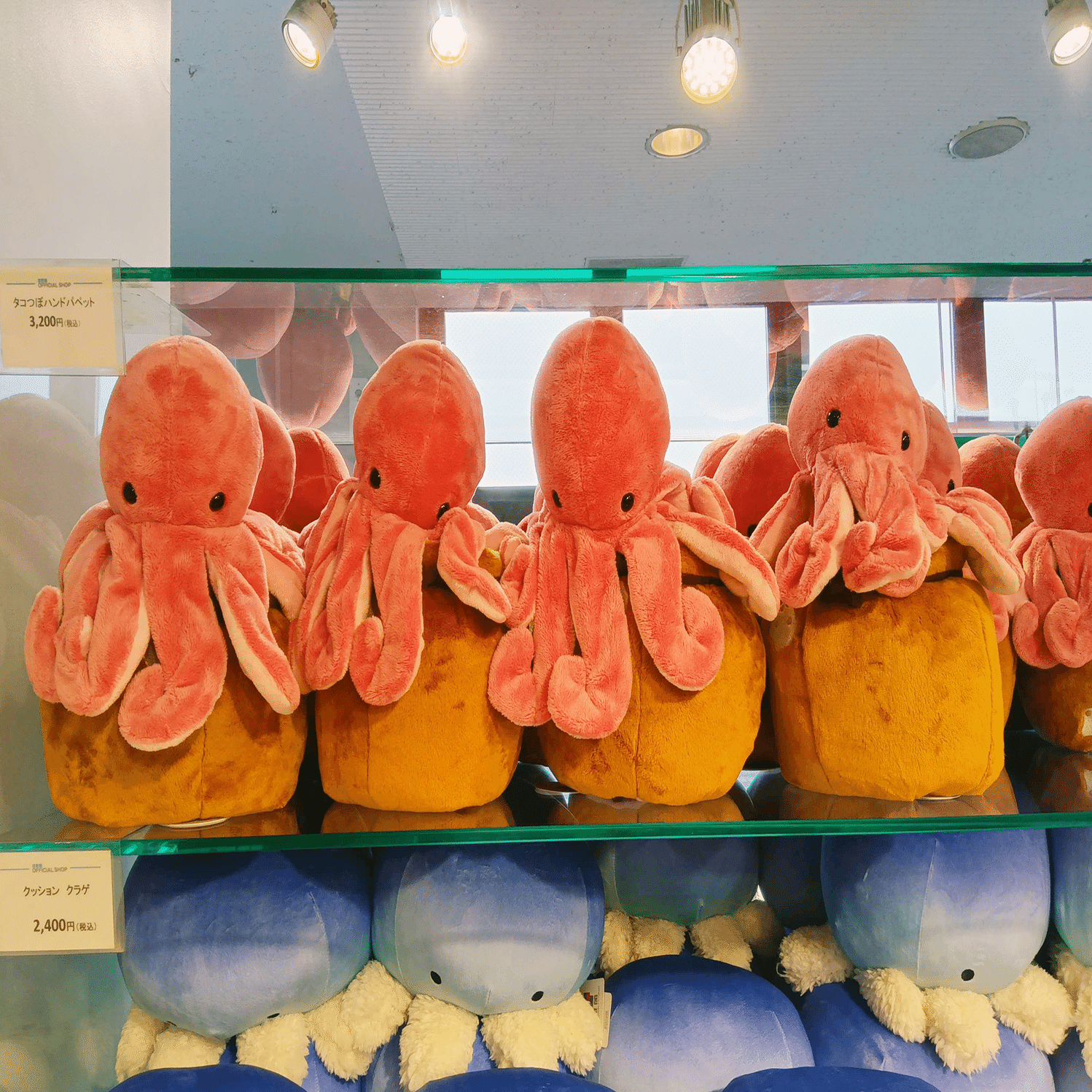 買い物代行 タコ壺ハンドパペット＠海遊館｜暮らしサポート／ベアーズ