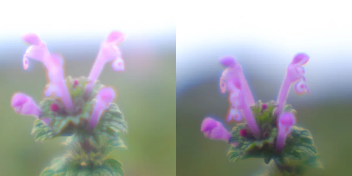 ç»å