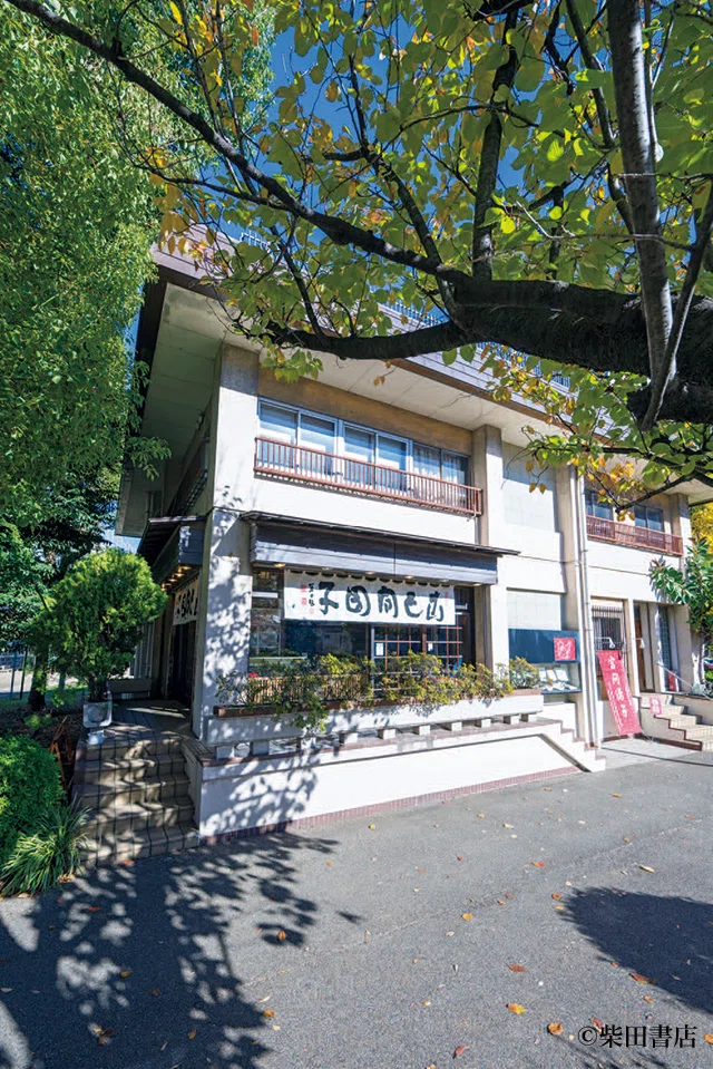 古い今戸焼 都鳥皿 言問 団子皿 15センチ /隅田川焼 角田川焼 【公式通販】