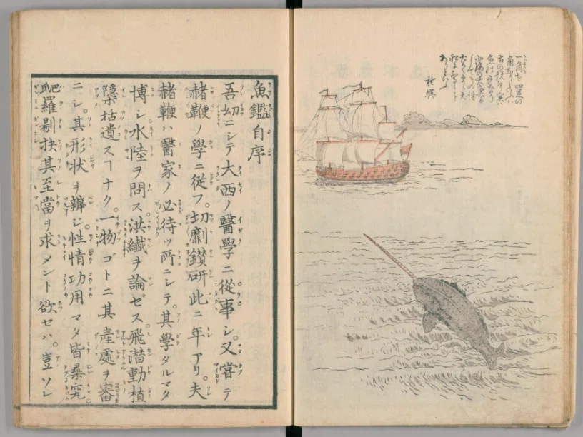 江戸時代の魚事典を原文で読んだら心が熱くなった｜fish_edo