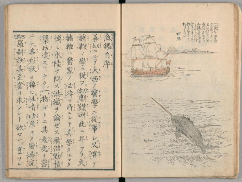 江戸時代の魚事典を原文で読んだら心が熱くなった｜fish_edo