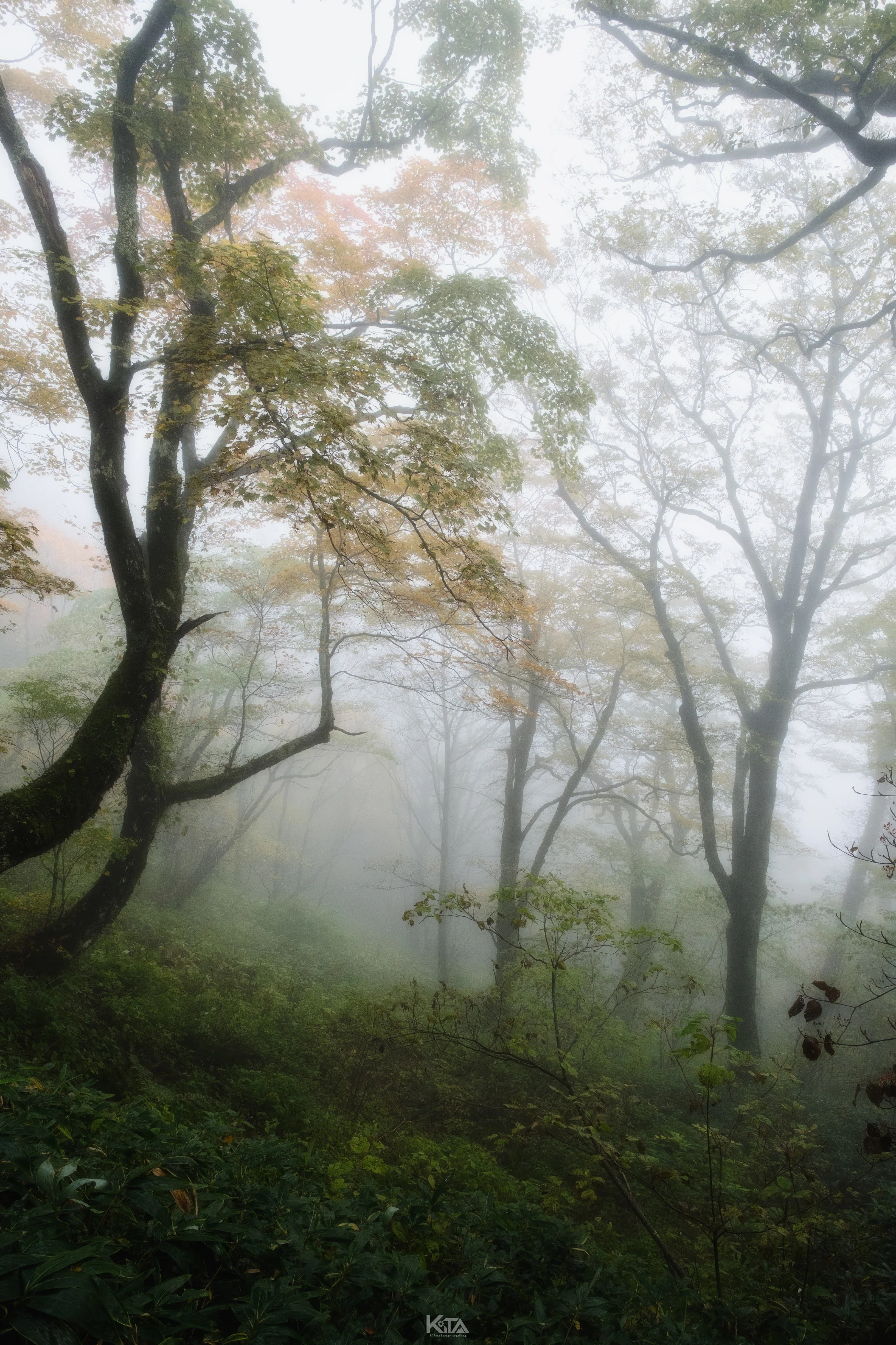 西日本最高峰 石鎚山の絶景｜KiTA | Keita Kusaka