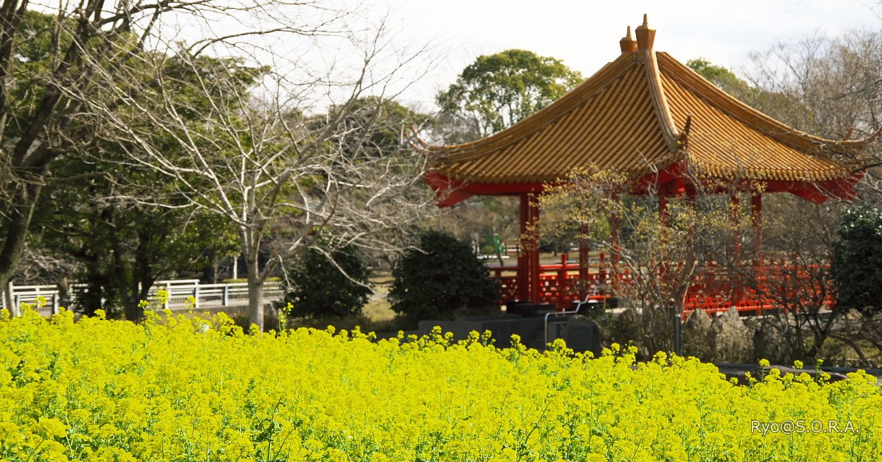 ローシーズンの熊本旅行へ行ったお話 #4 熊本市動植物園・植物ゾーンへ
