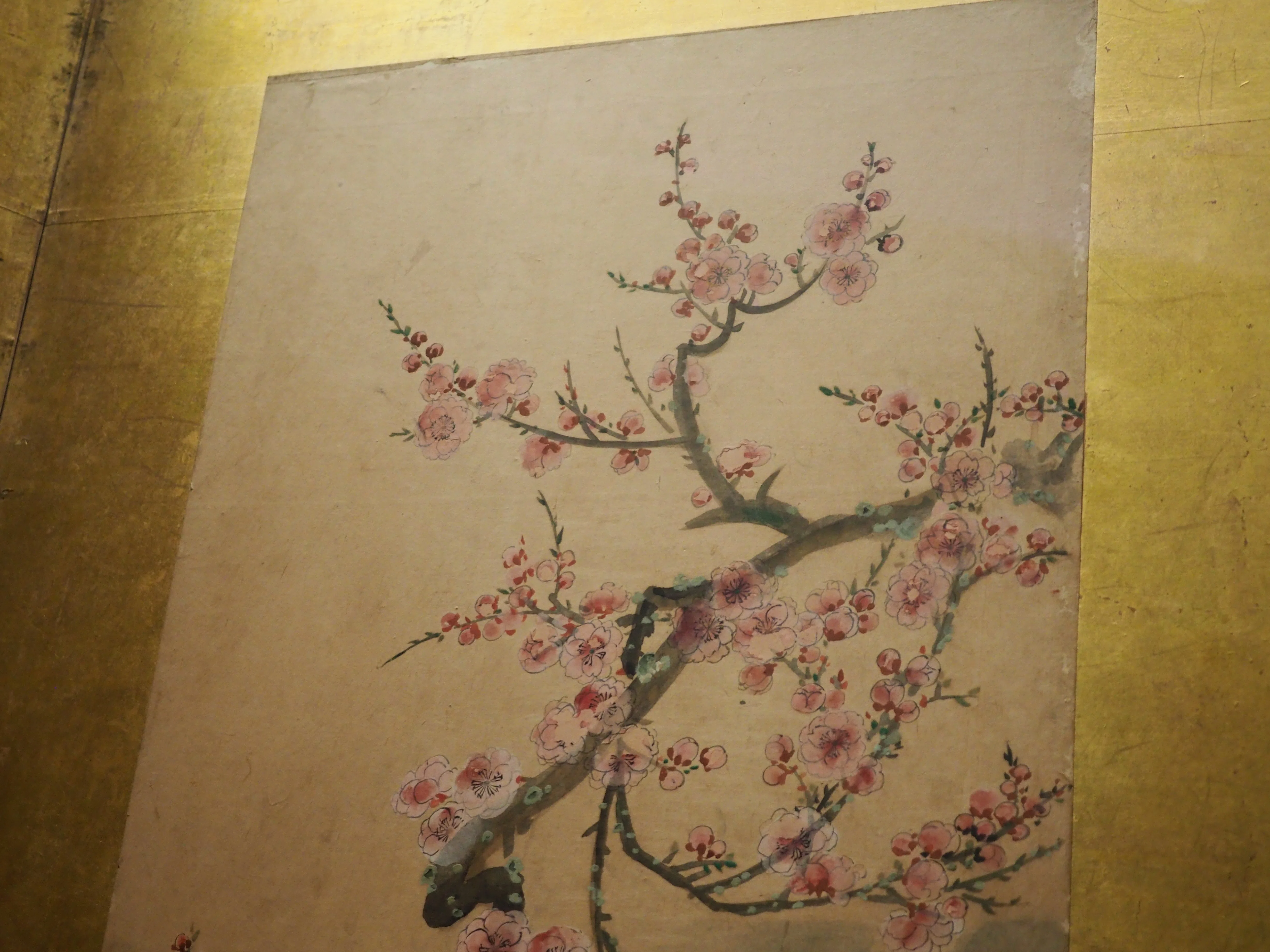 江戸時代の画家、喜多川相説さんを知っていますか？……@The Cleveland