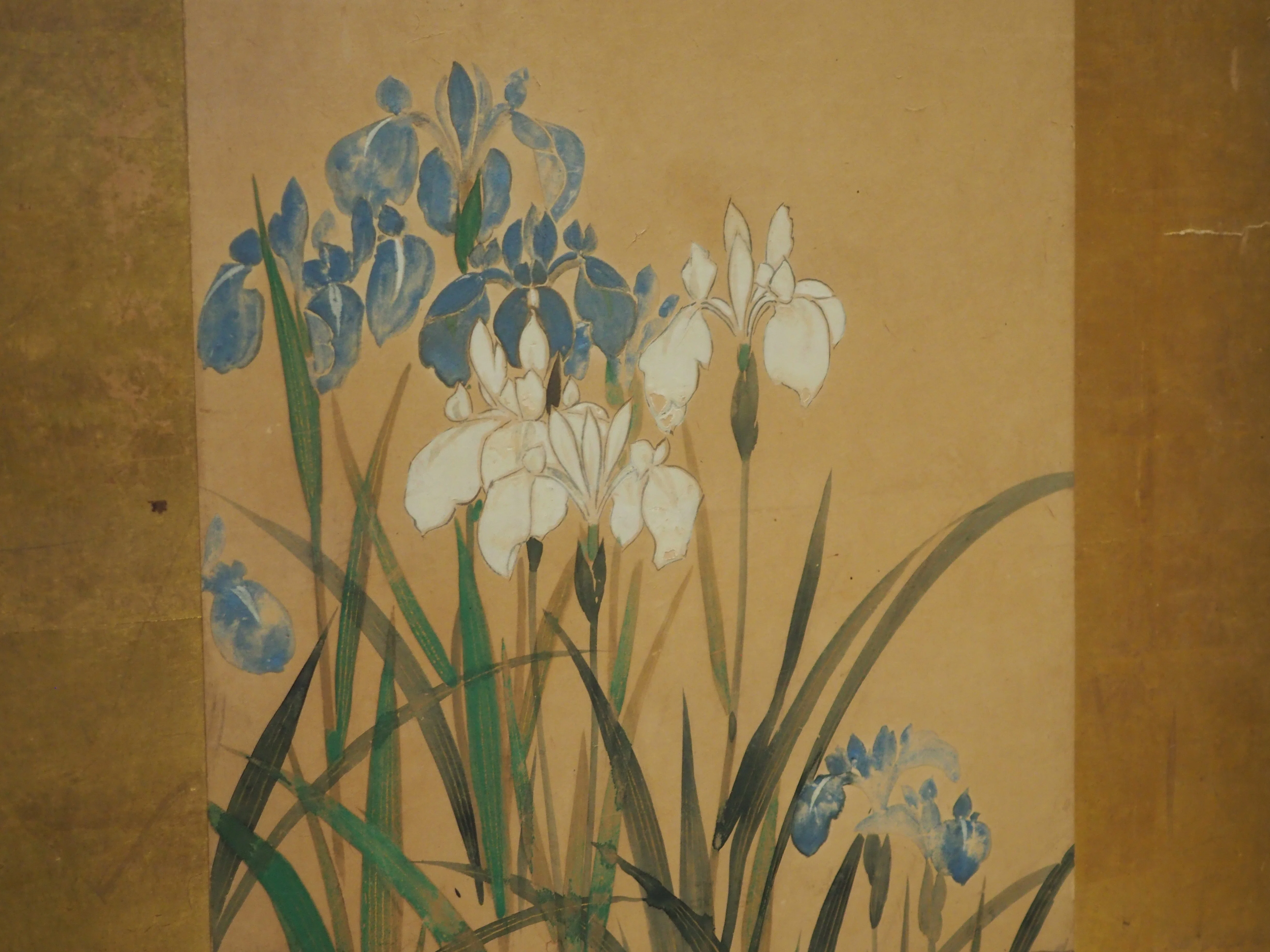 江戸時代の画家、喜多川相説さんを知っていますか？……@The Cleveland
