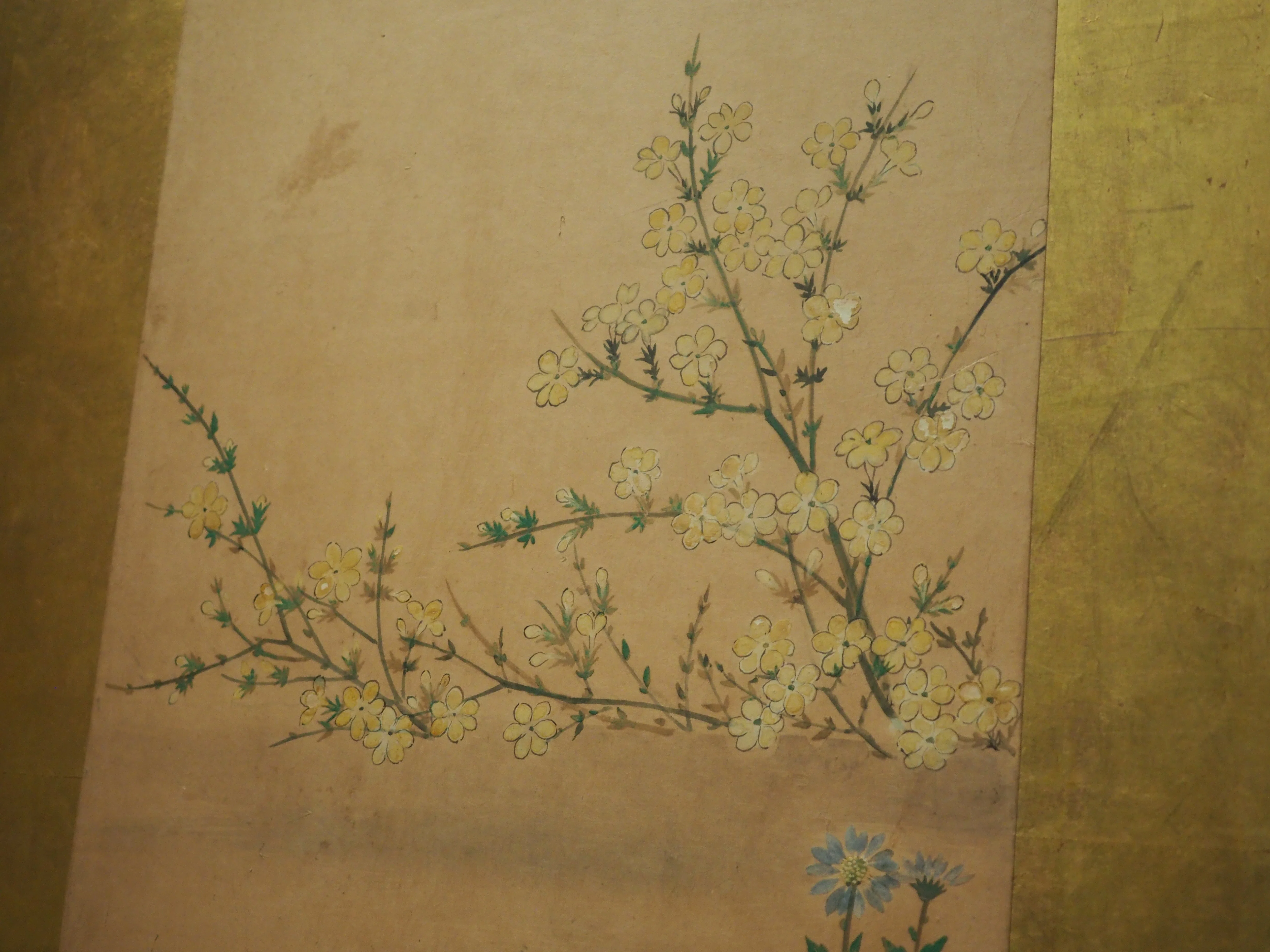 江戸時代の画家、喜多川相説さんを知っていますか？……@The Cleveland