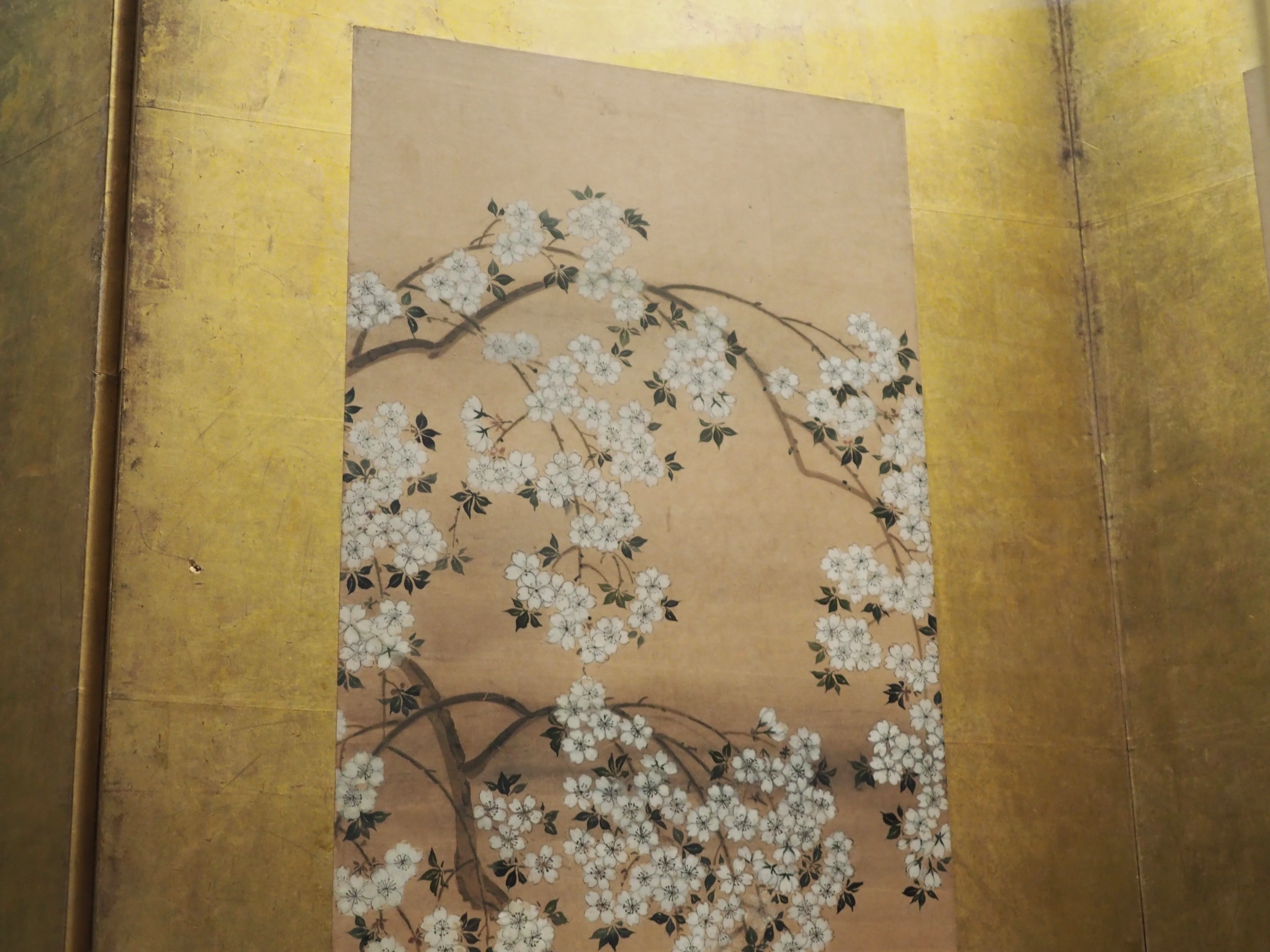 江戸時代の画家、喜多川相説さんを知っていますか？……@The Cleveland