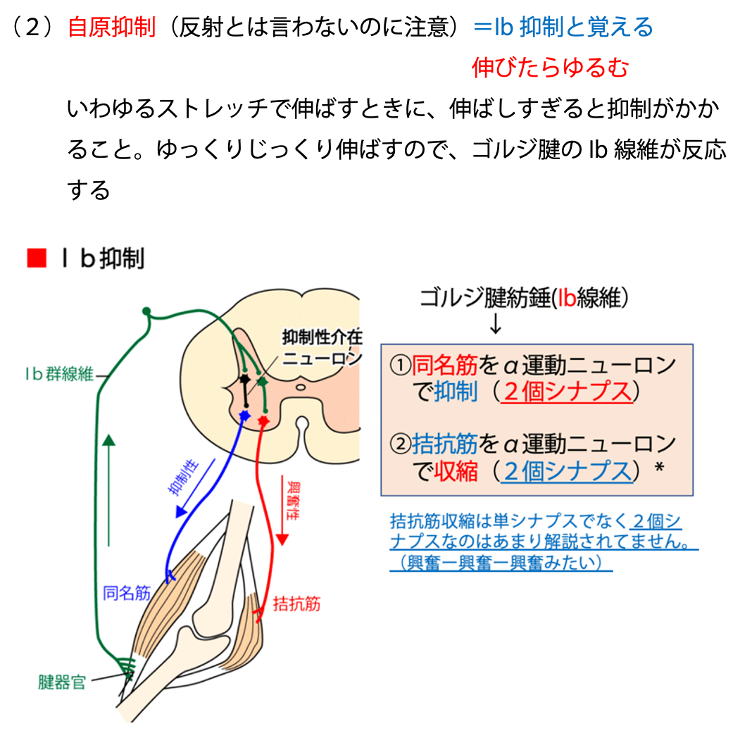 第59回理学療法士国家試験 午前61-65の解説|Sixty_valleyのページ 第59回理学療法士国家試験 午前61-65の解説|Sixty_valleyのページ