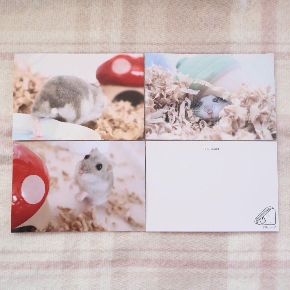 4/7(日)東京ハンドメイドマルシェ作品紹介⑥ハムのポストカード｜は