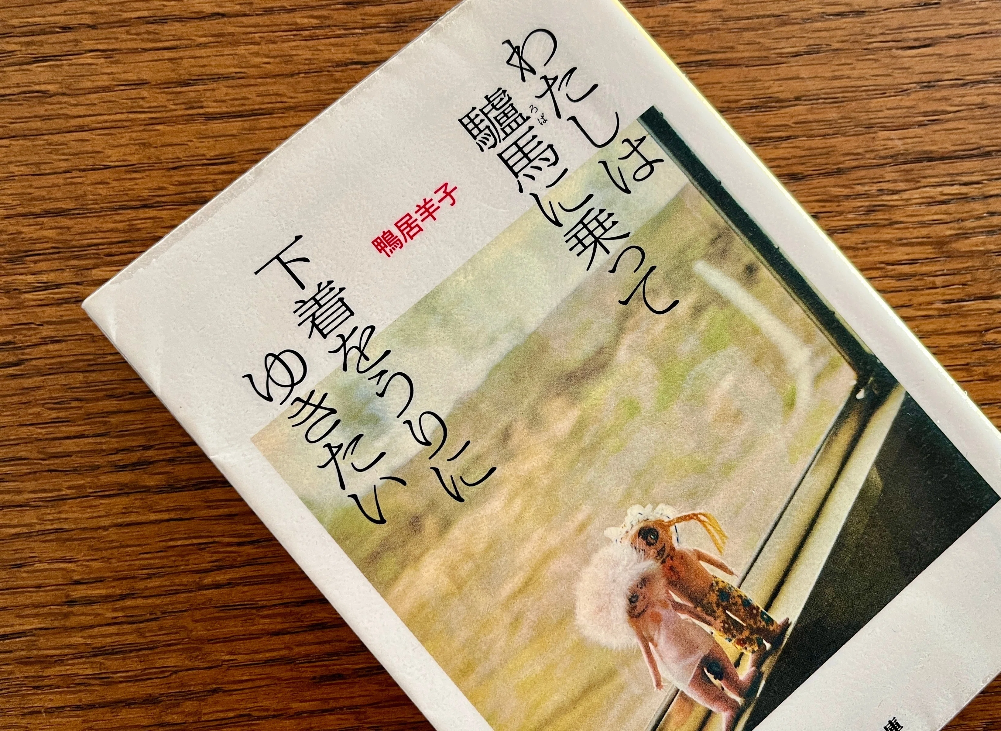 読書】画家・鴨居玲の本を5冊読んで気づいたこと｜memeko